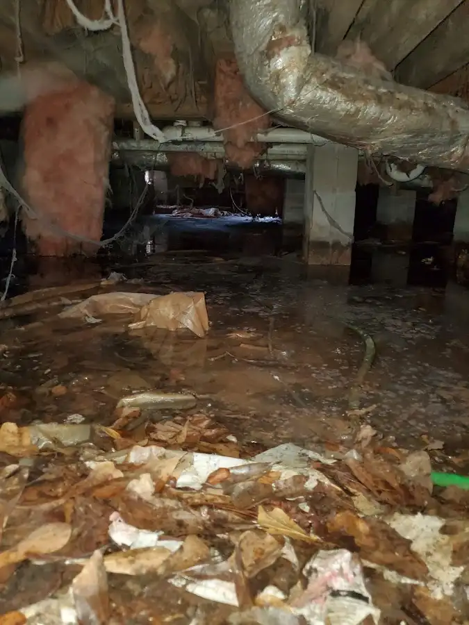 Crawl space flood assessment for Leak Detection & Repair in Odessa